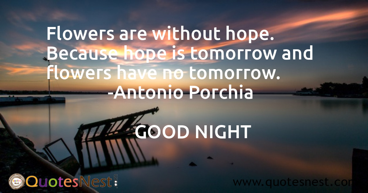 Hope_Antonio Porchia_2_small